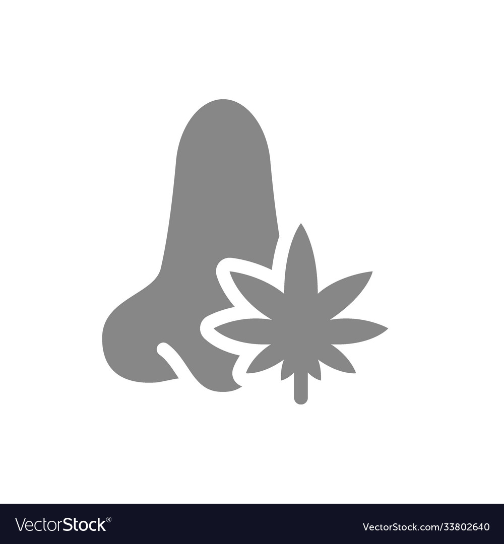 Human nose with marijuana grey icon cannabis Vector Image