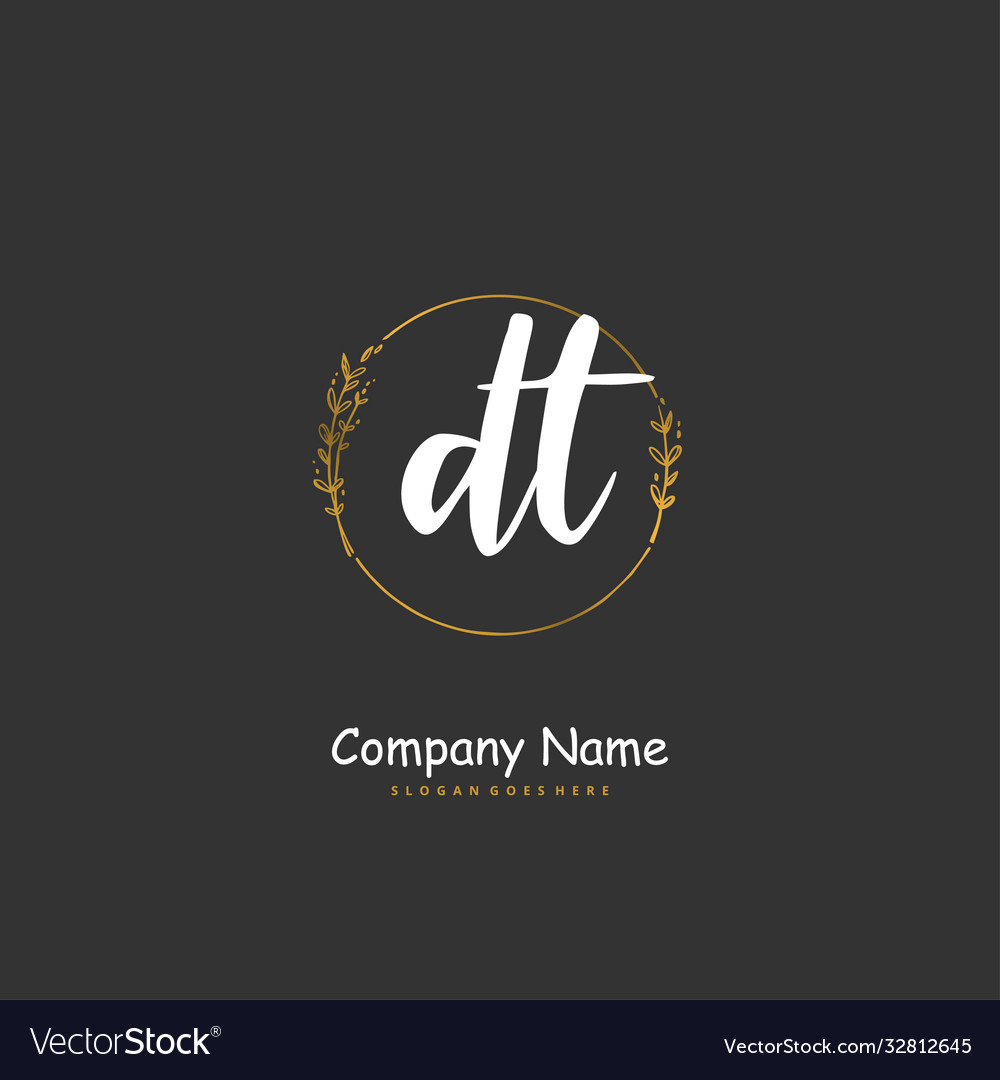 D t dt initial handwriting and signature logo Vector Image