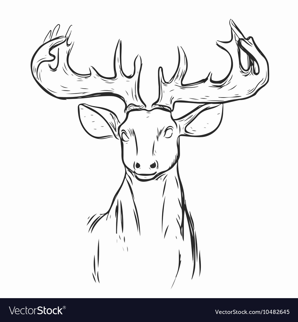 Deer mascot head Royalty Free Vector Image - VectorStock