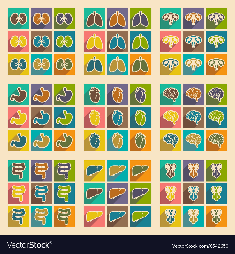 Icons of assembly internal organs in flat style