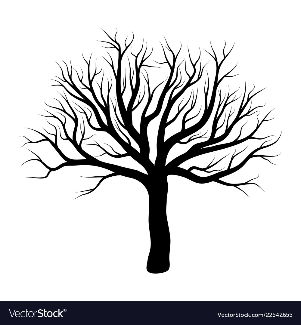 Bare tree winter design isolated on white Vector Image