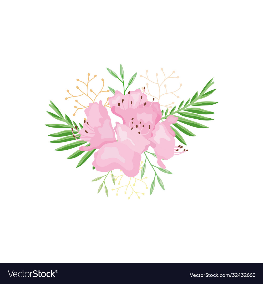 Pink flowers and decorative green leaves detailed Vector Image