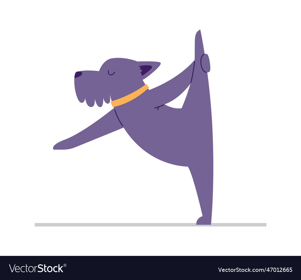 Dog doing yoga Royalty Free Vector Image - VectorStock