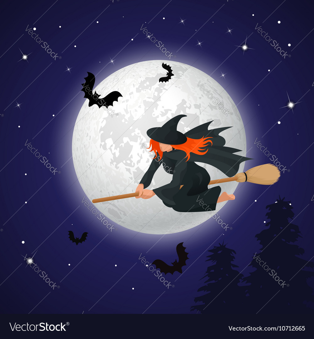 Silhouette of a witch flying on broomstick Vector Image