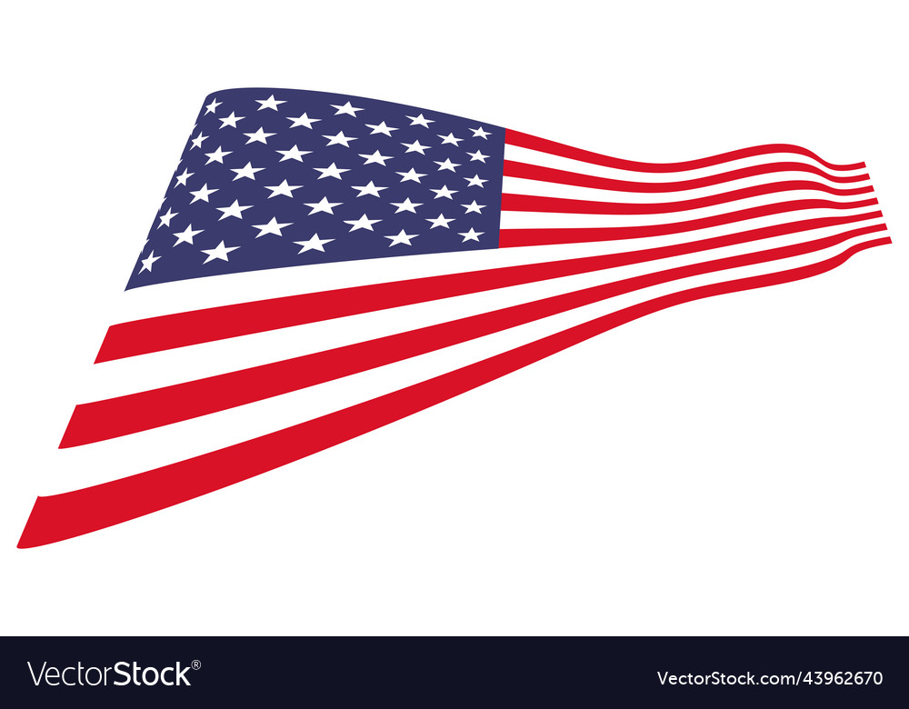 American icon design vector image American icon design