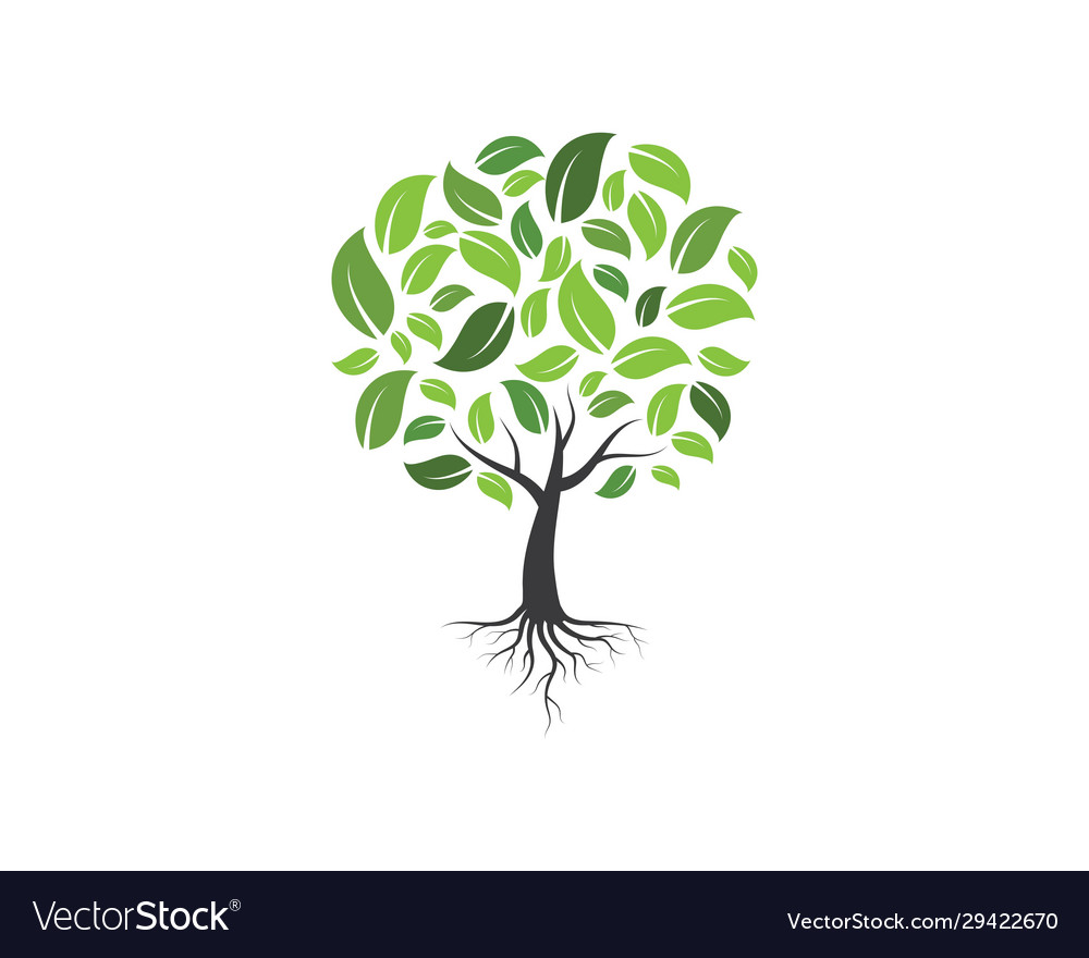 Family tree logo template Royalty Free Vector Image