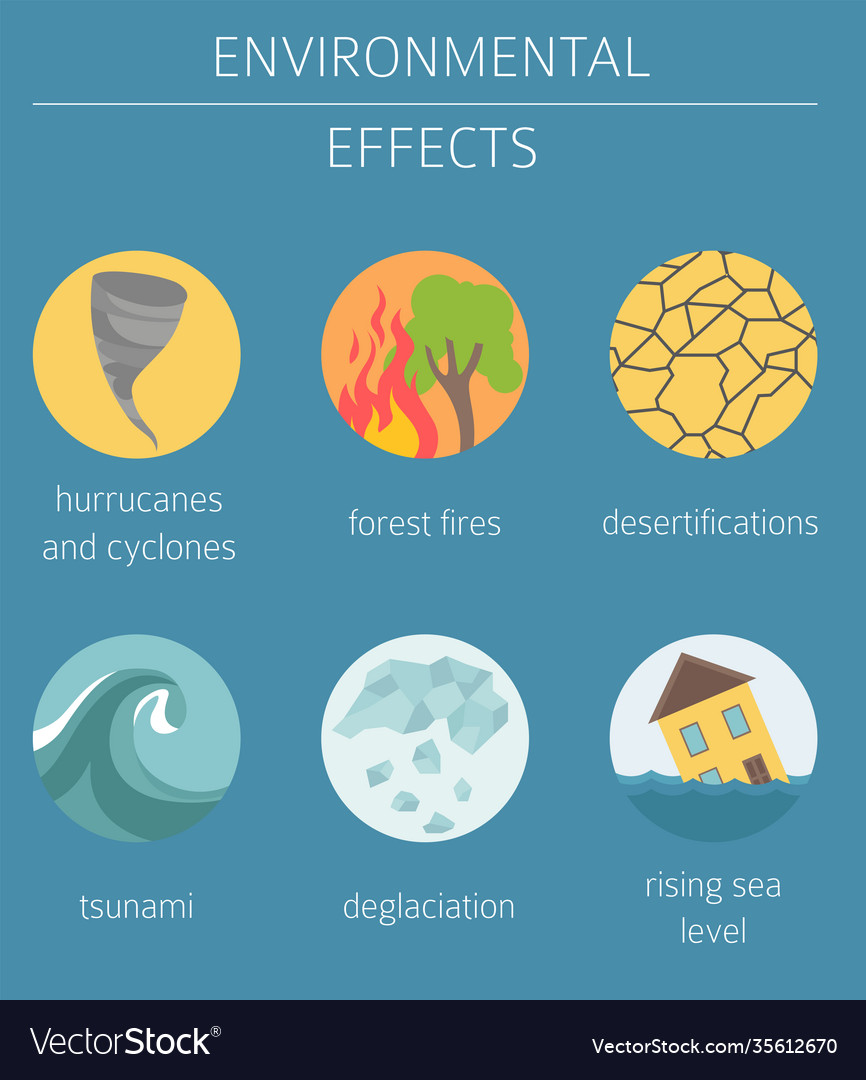 What Are Global Environmental Problems