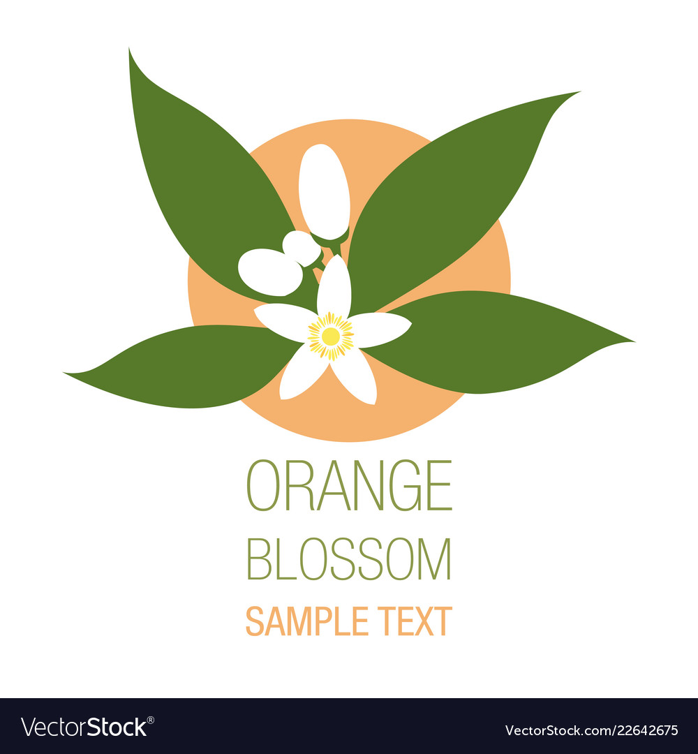 Orange Blossom - SOLD - Lizzie Harper