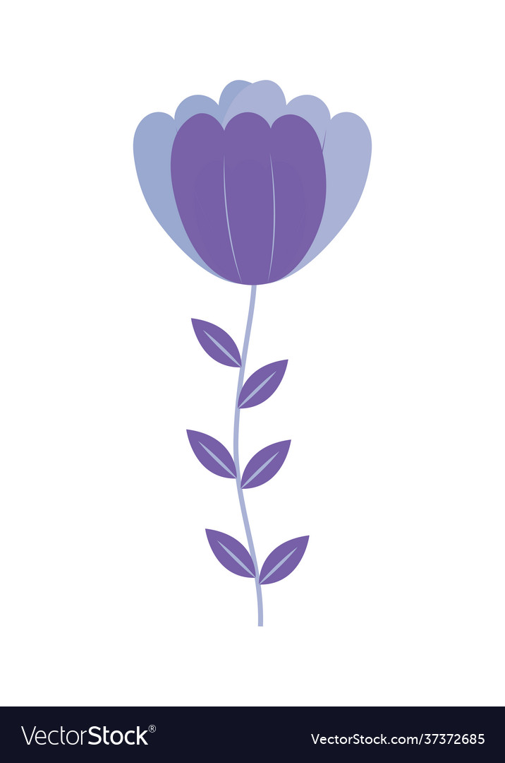 Cute purple tulip Royalty Free Vector Image - VectorStock