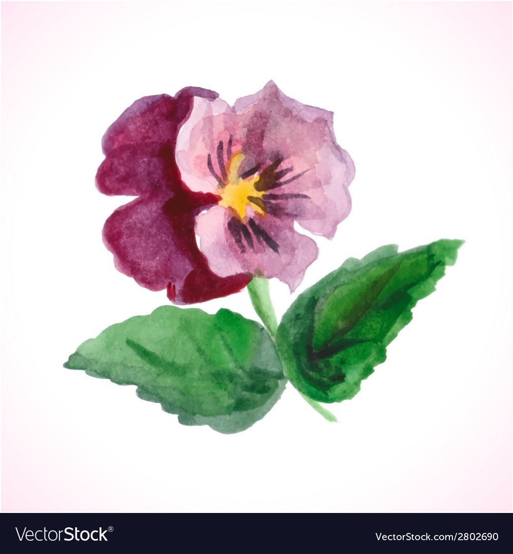 Watercolor flower Royalty Free Vector Image - VectorStock