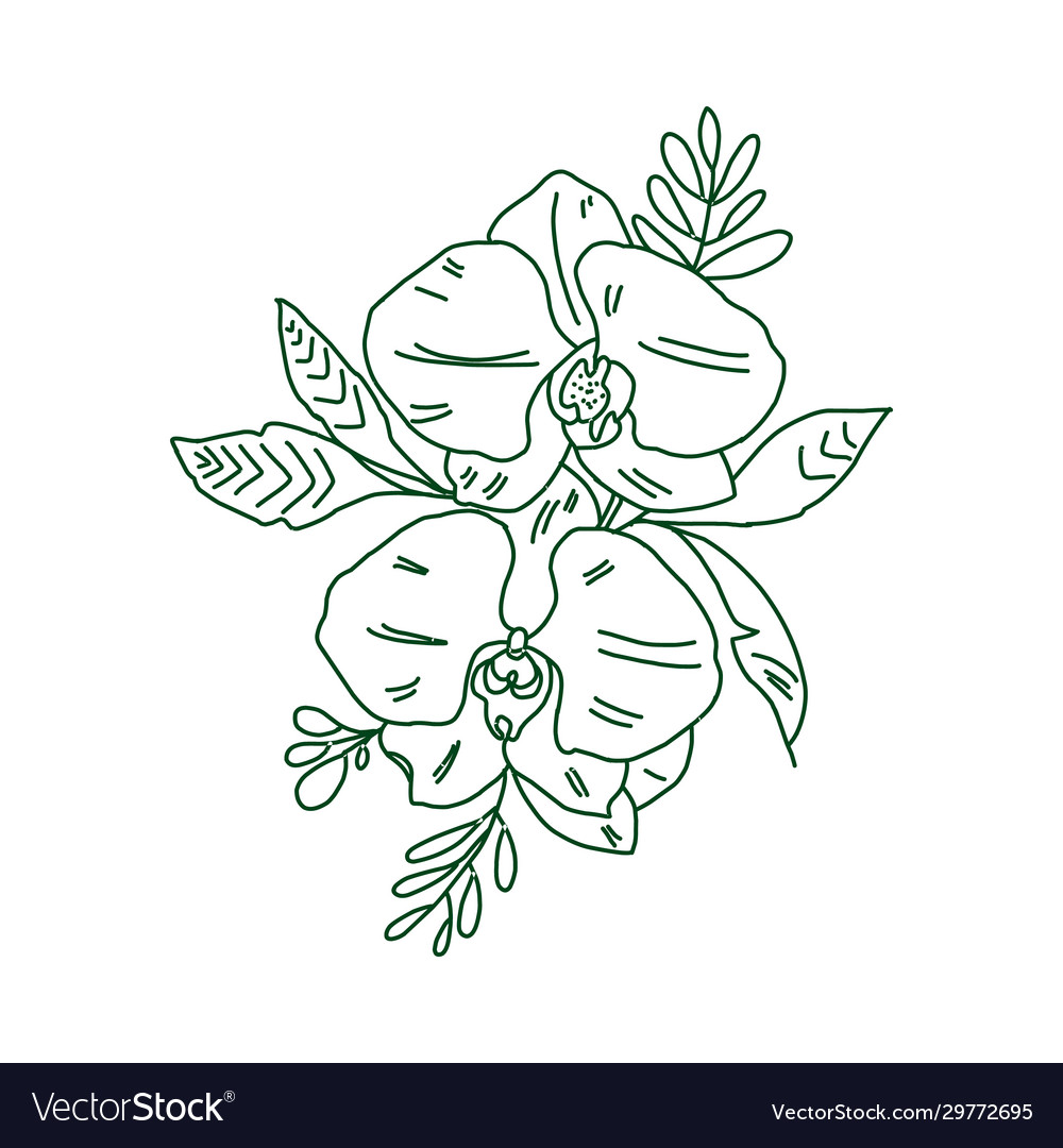 Graphical Flower Black Flower Contour Flower Vector Image Graphical Flower Black Flower Contour Flower Vector Image