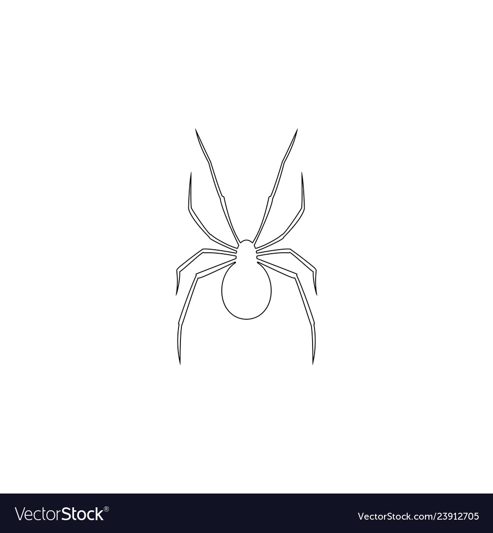 Spider flat icon Royalty Free Vector Image - VectorStock