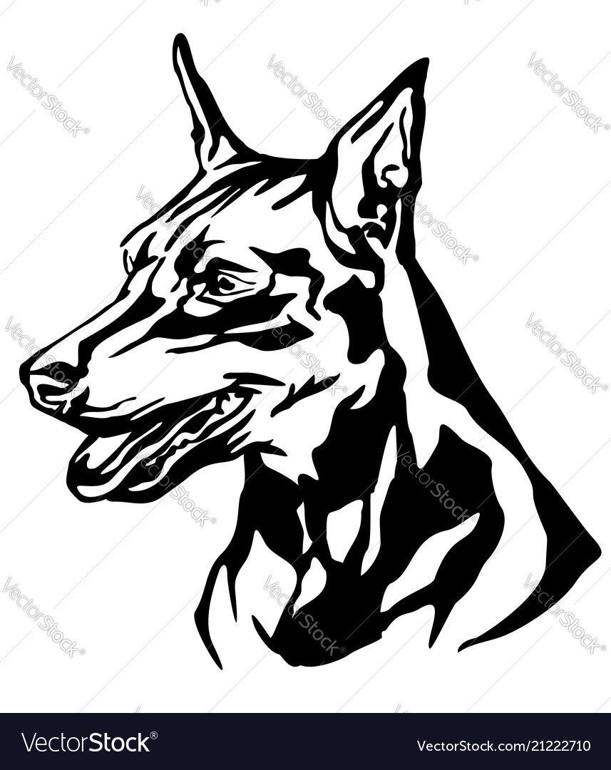 Decorative portrait of dog miniature pinscher