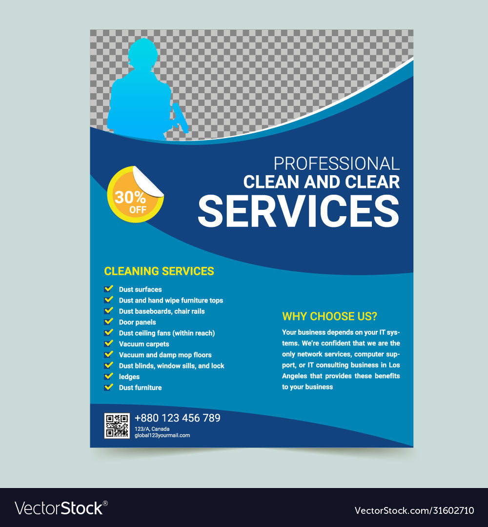 Professional cleaning service flyer template Vector Image