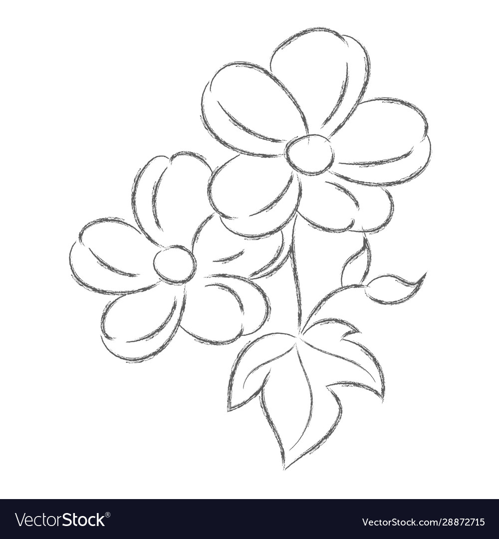 Pencil drawing a flower with leaves isolated Vector Image