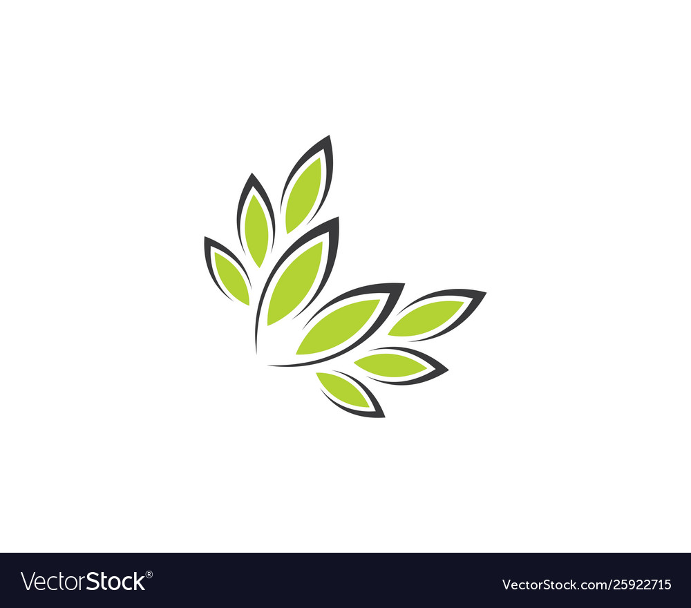 Tree leaf logo design Royalty Free Vector Image