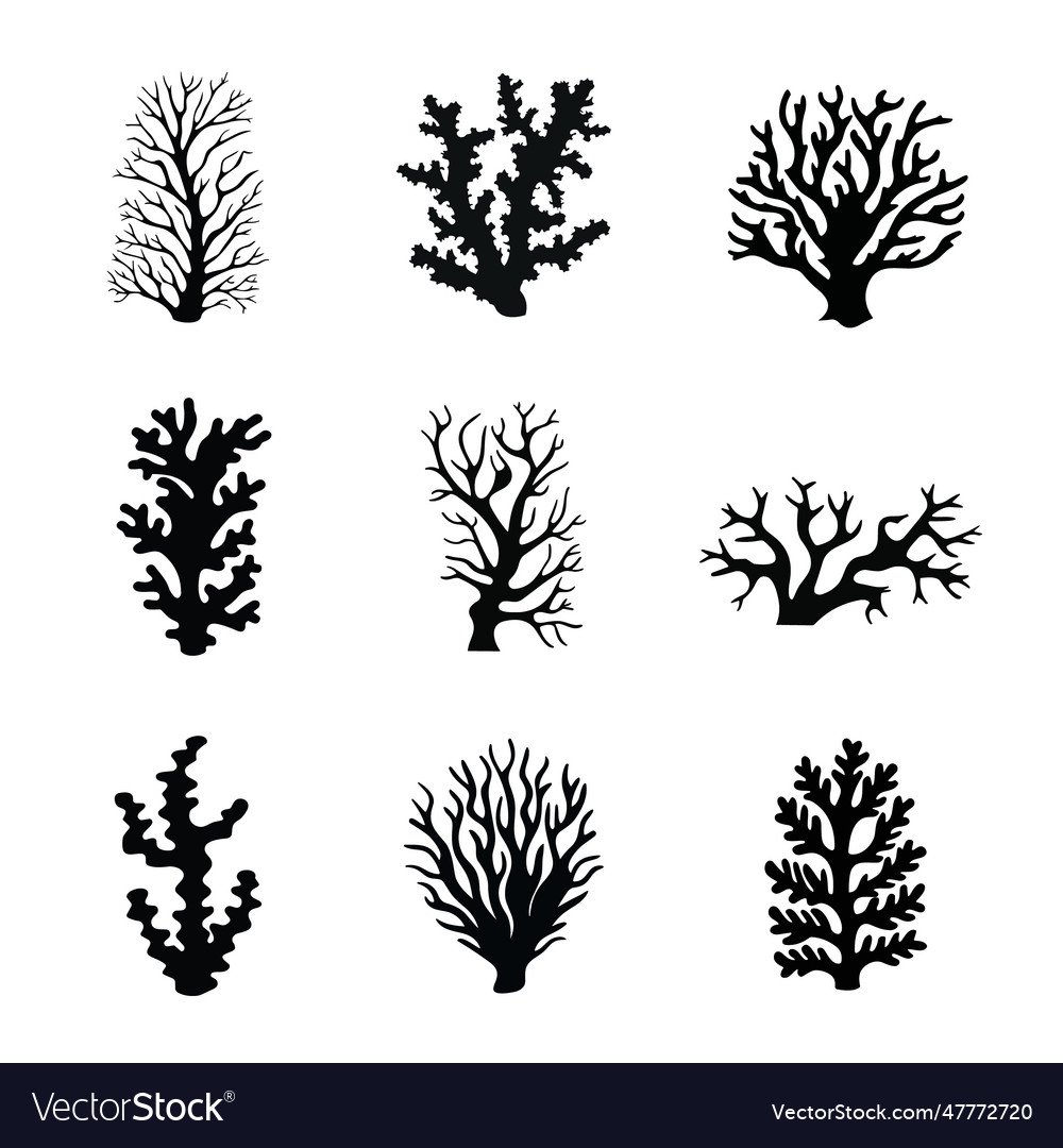 Set of silhouette corals and grass isolated Vector Image