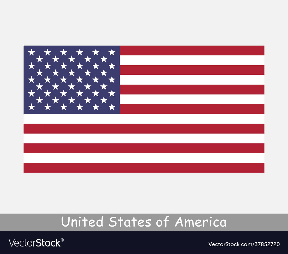 United states america usa national country flag vector image United states america usa national country flag