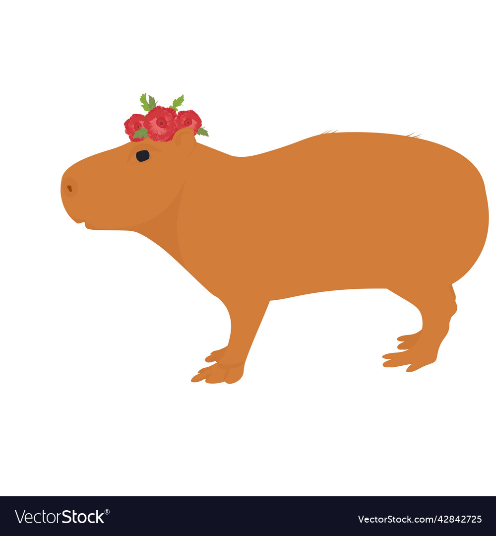 Download Capybara, Mammal, Capibara. Royalty-Free Vector Graphic