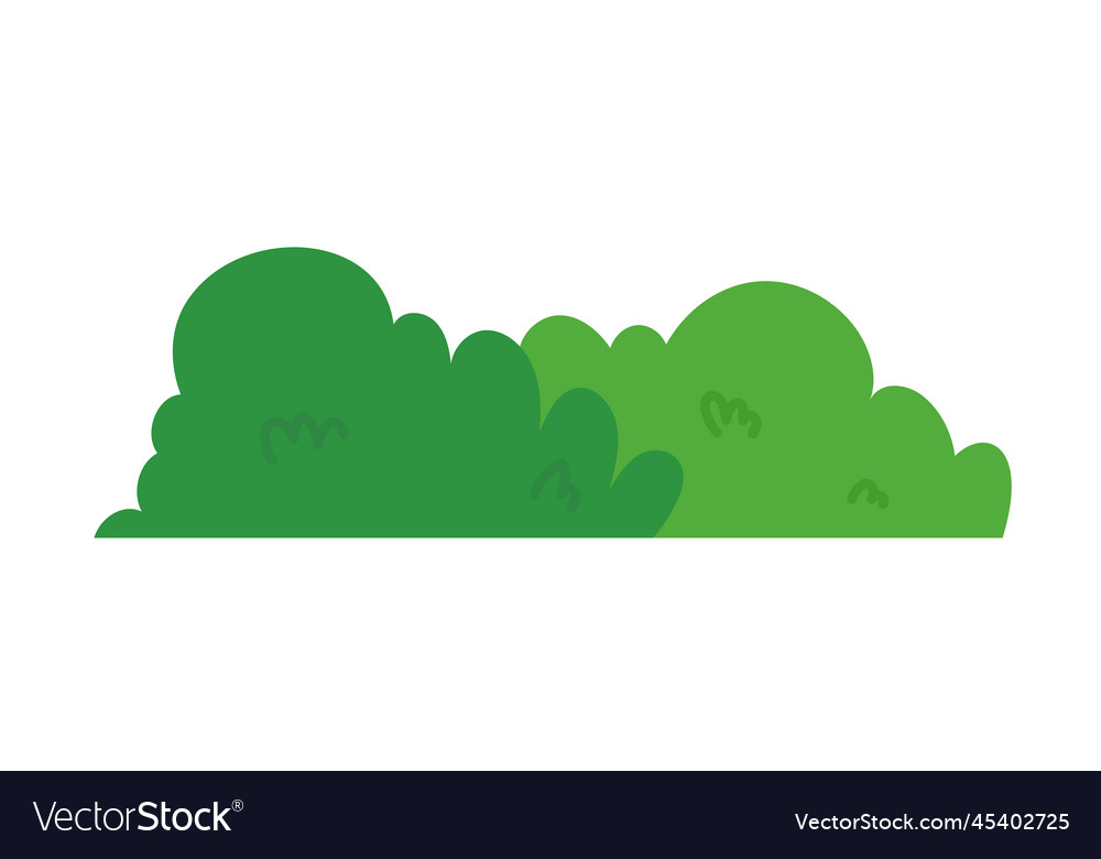 Natural green grass bushes decorate environmental Vector Image