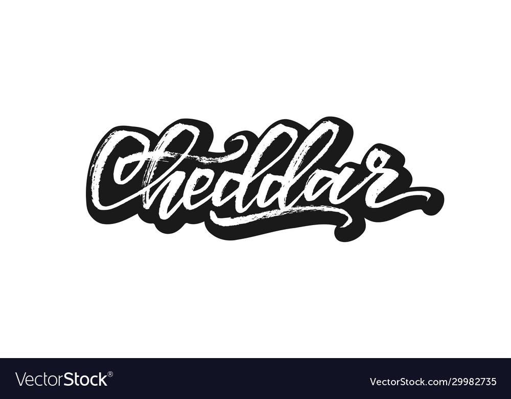 Cheddar organic food calligraphy vintage Vector Image