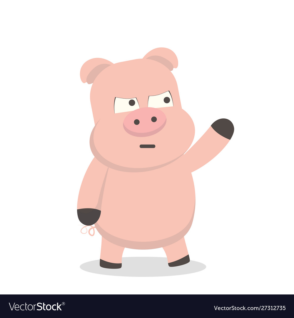 Cute pig with angry and annoyed expressions