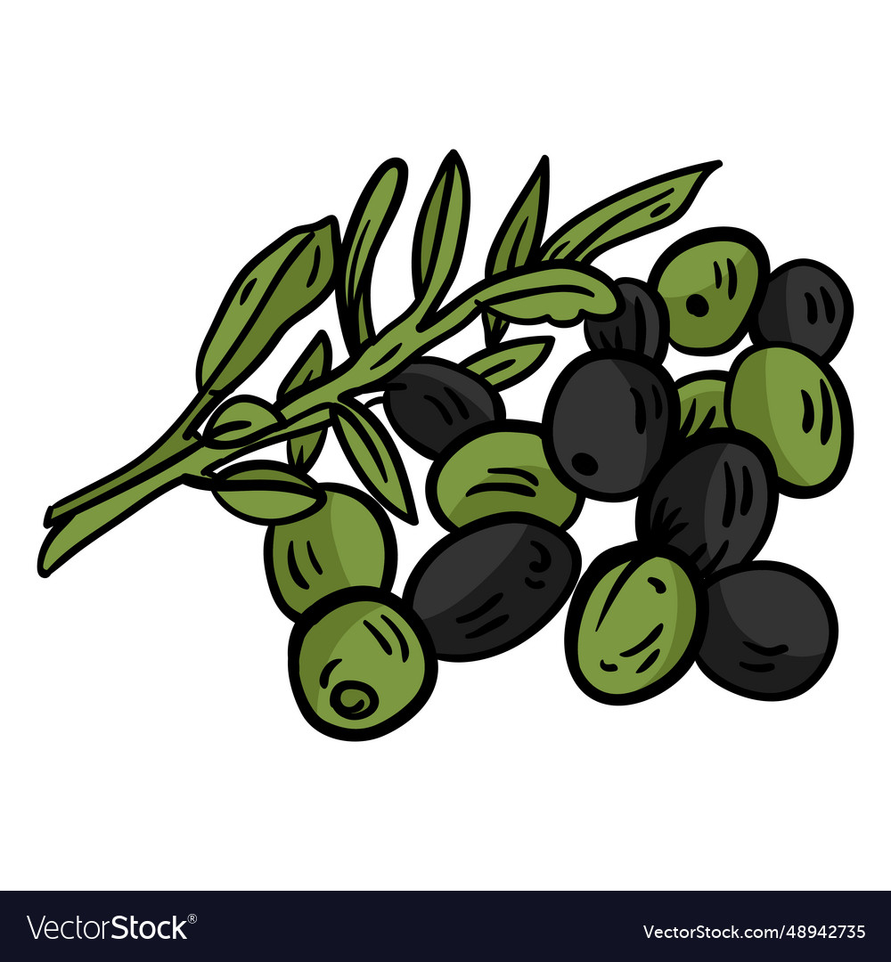 Olive branch leaf flat Royalty Free Vector Image