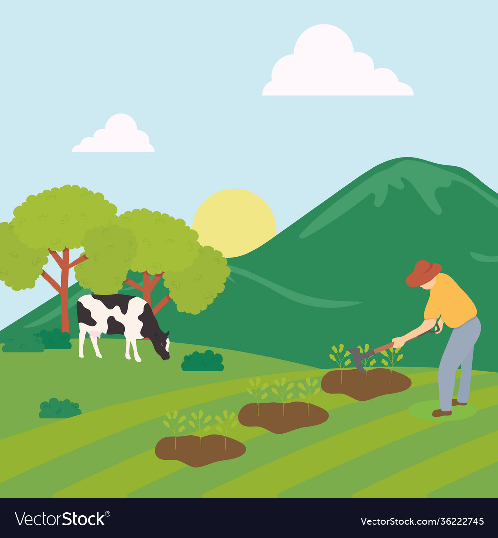 Farmer planting and cow design Royalty Free Vector Image