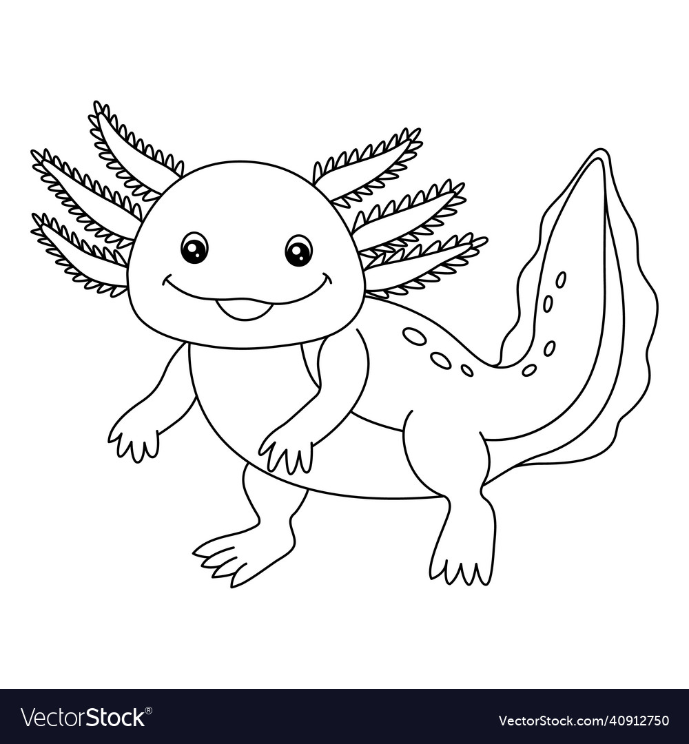Axolotl Coloring Page Isolated For Kids Royalty Free Vector