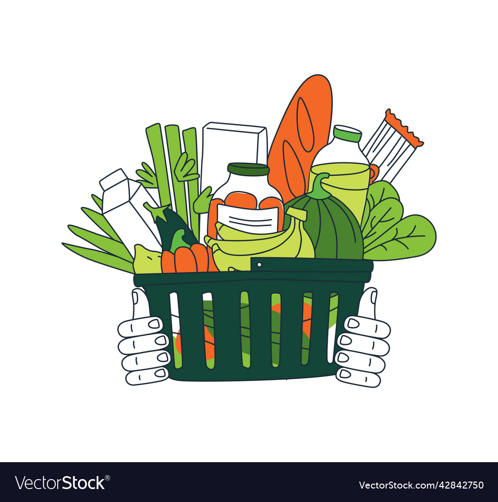 Grocery order basket of food goods from online Vector Image