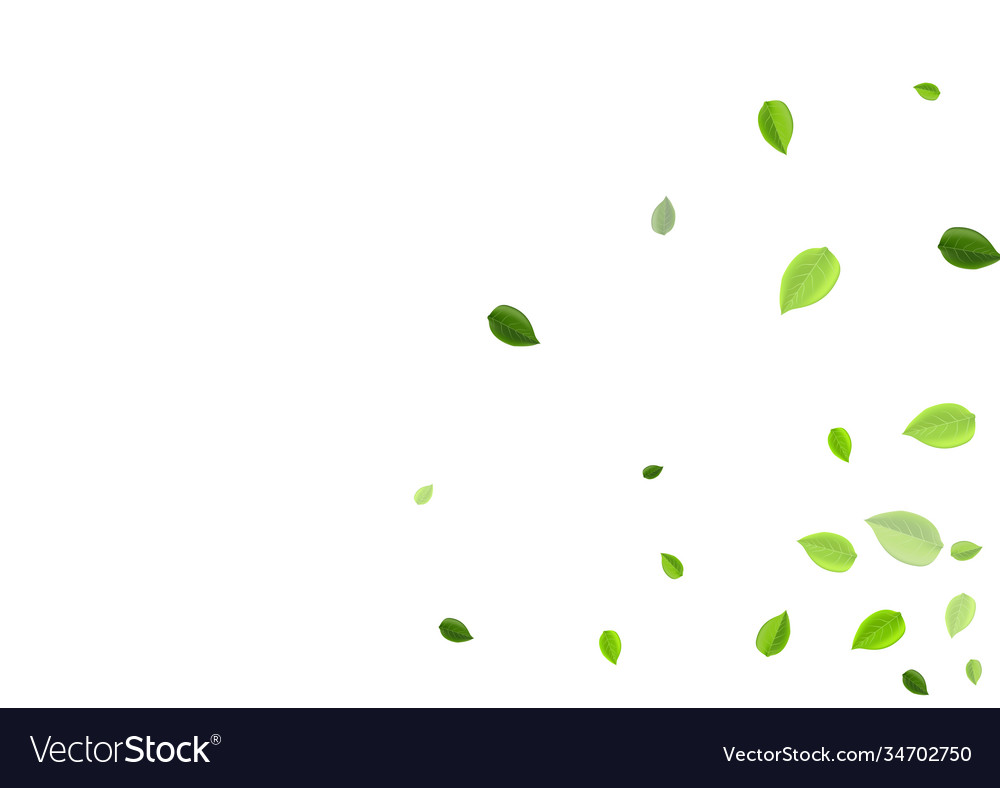 Lime greens spring background fly leaves