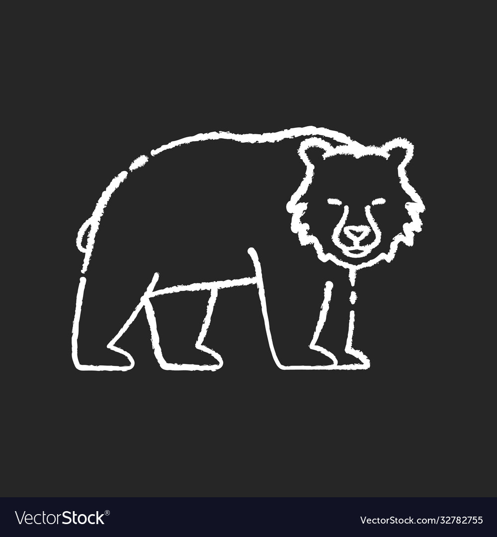 Brown bear chalk white icon on black background