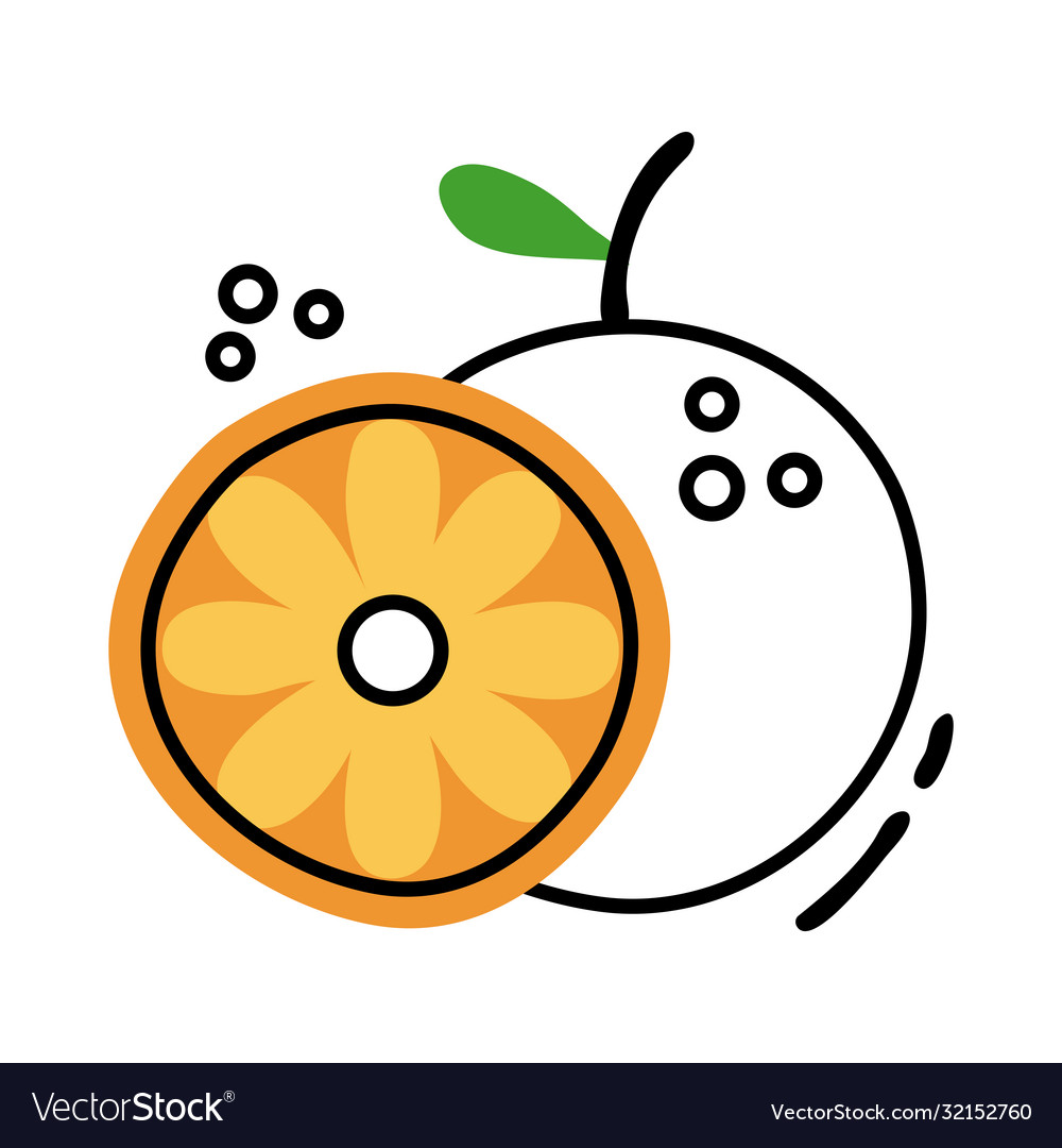 Orange citrus fruit line and fill style Royalty Free Vector