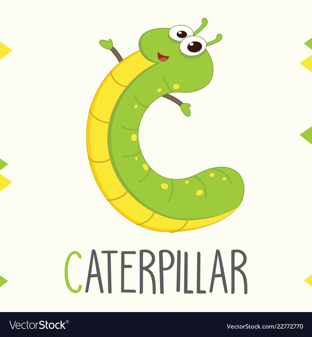 Alphabet letter c and caterpillar Royalty Free Vector Image