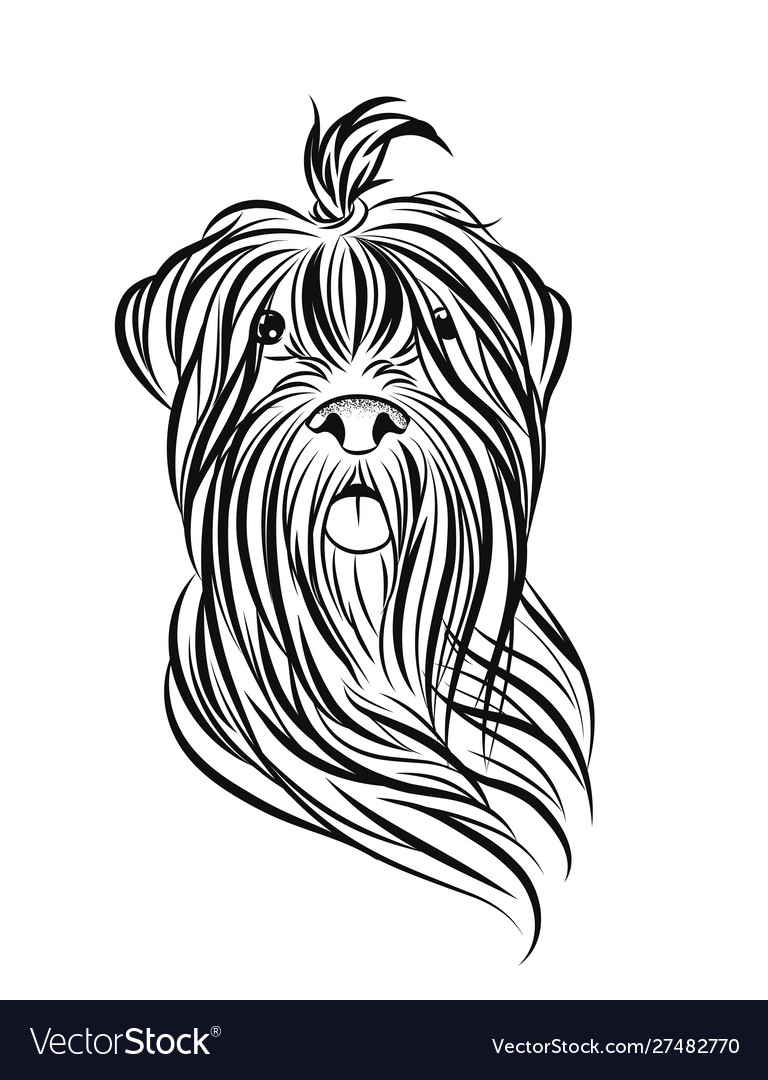 Black terrier Royalty Free Vector Image - VectorStock