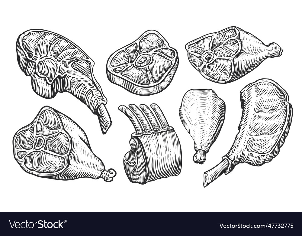 Meat products set sketch beef steak ham lamb Vector Image