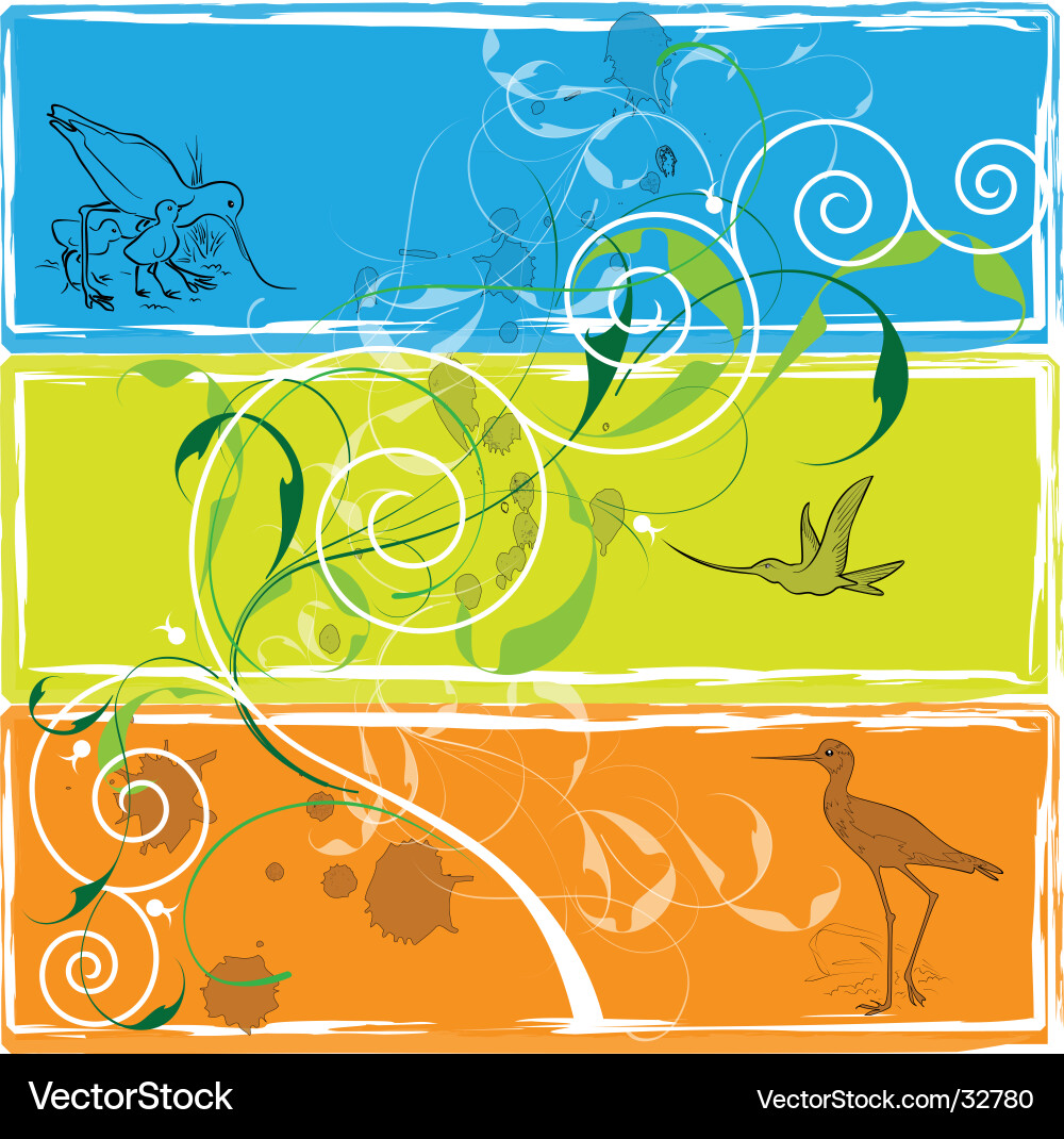 Birds Royalty Free Vector Image - VectorStock