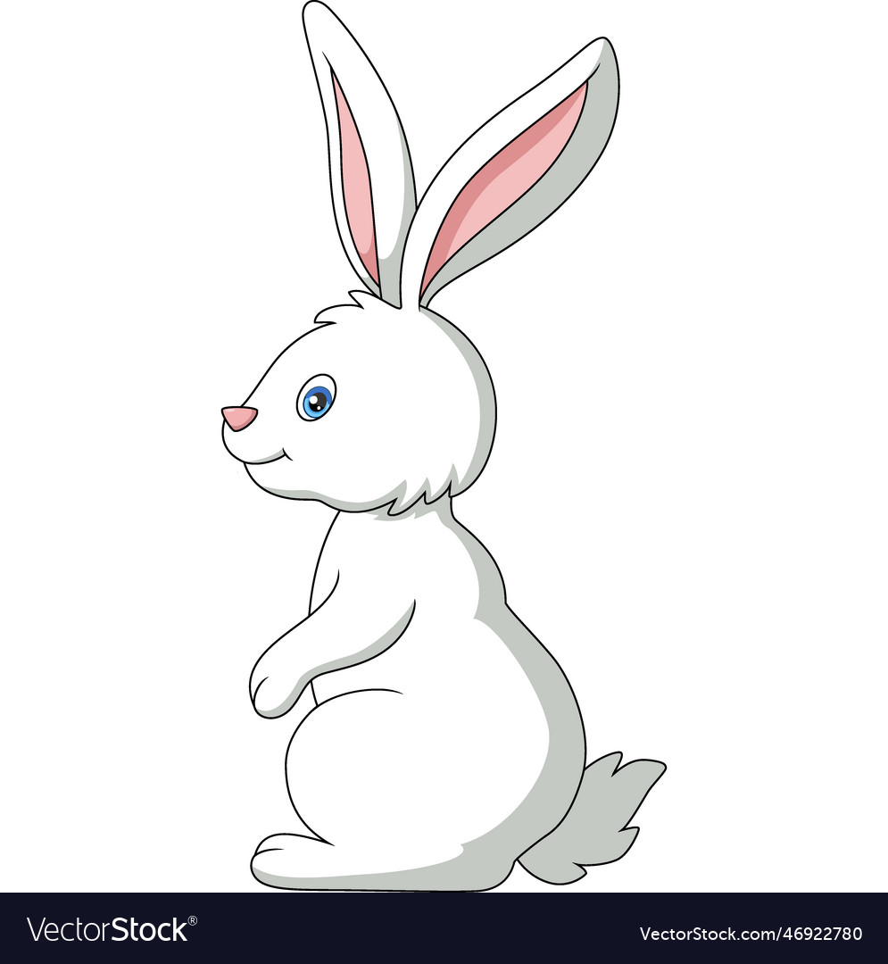 Cute white bunny cartoon on white background Vector Image