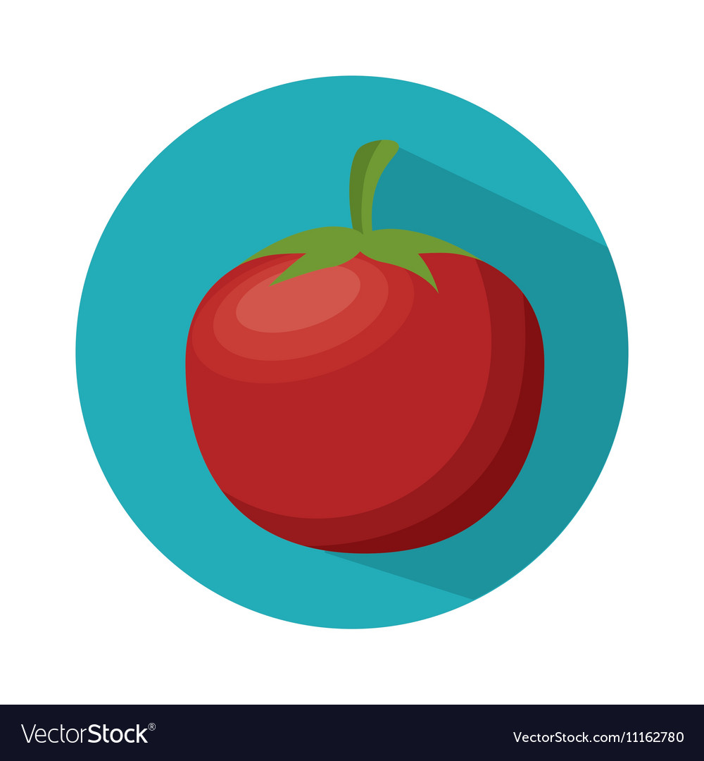 Ripe tomato nutrition healthy food Royalty Free Vector Image