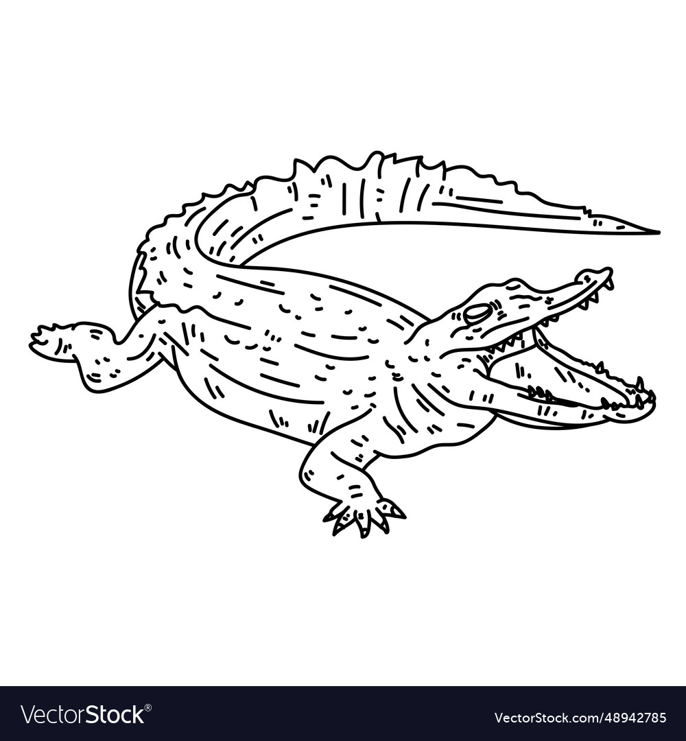 Open mouth alligator line Royalty Free Vector Image