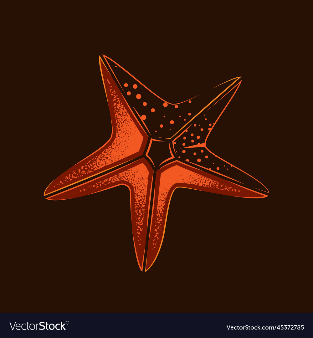 Starfish Royalty Free Vector Image - VectorStock
