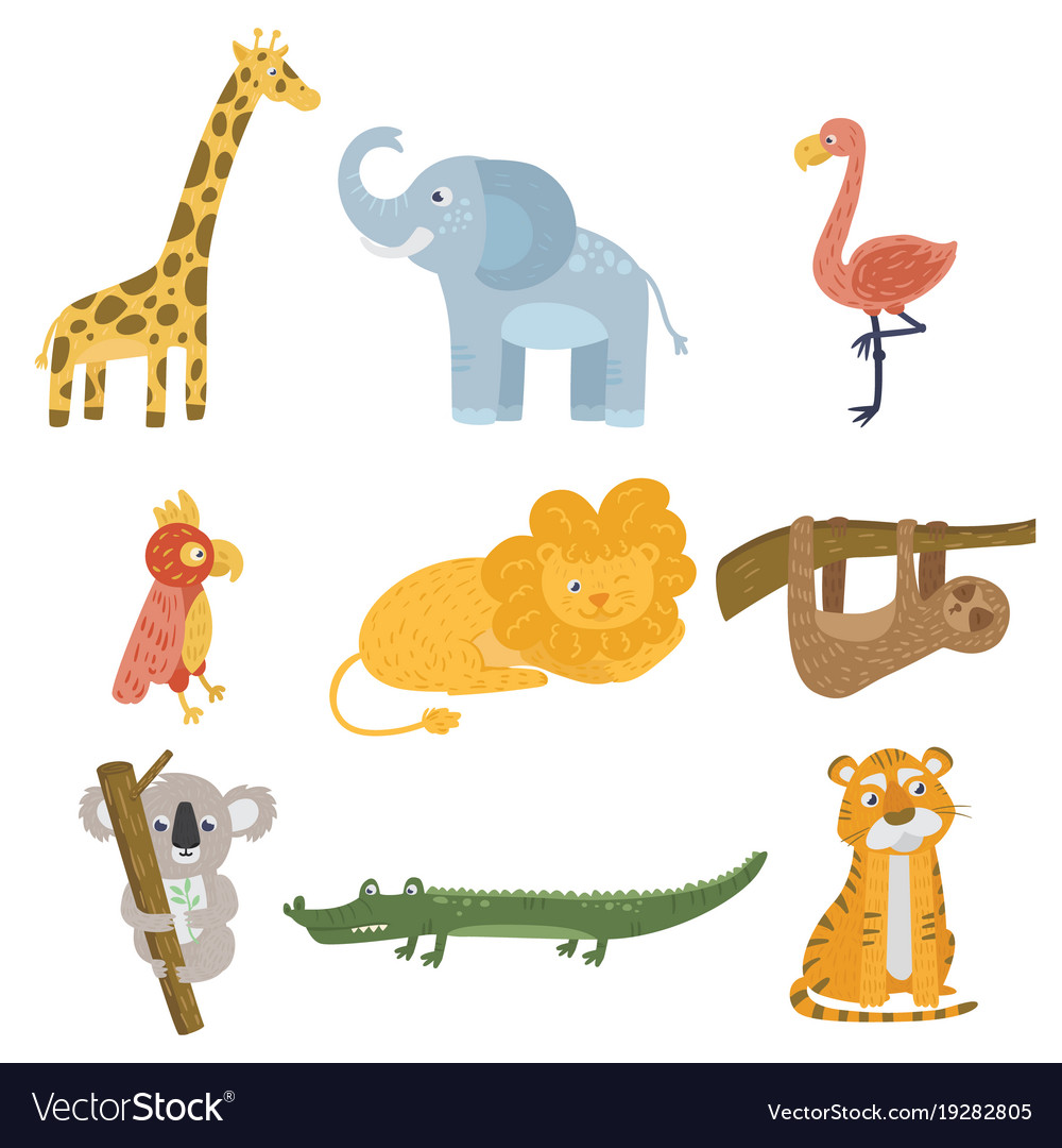 Colored set of animal and birds giraffe elephant Vector Image