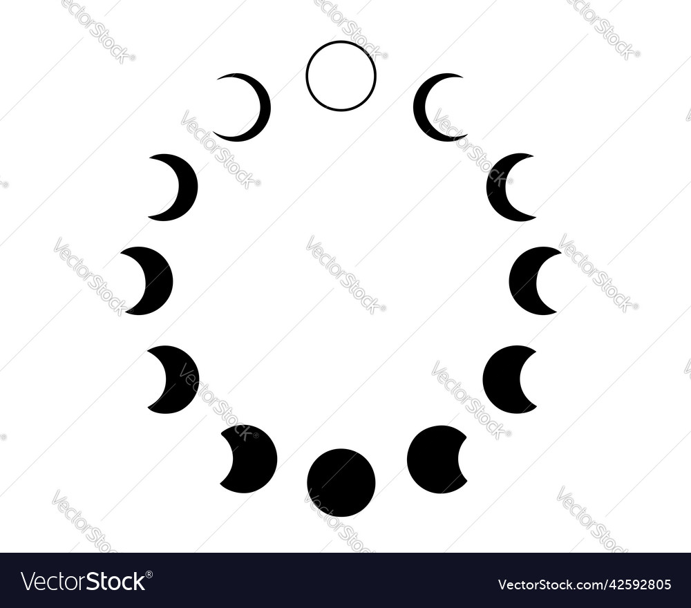 Moon phases cycle Royalty Free Vector Image - VectorStock