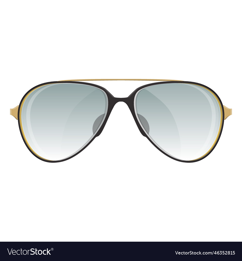 Aviator sunglasses Royalty Free Vector Image VectorStock