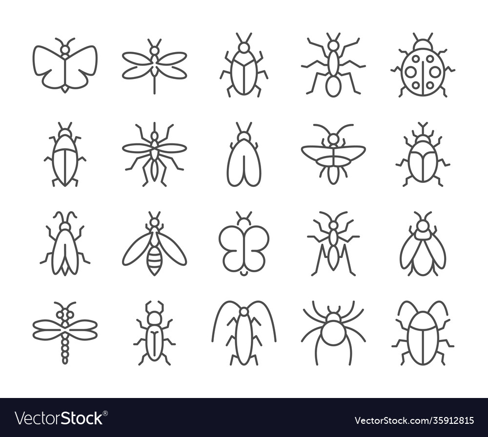 Insects icon bugs line icons set Royalty Free Vector Image