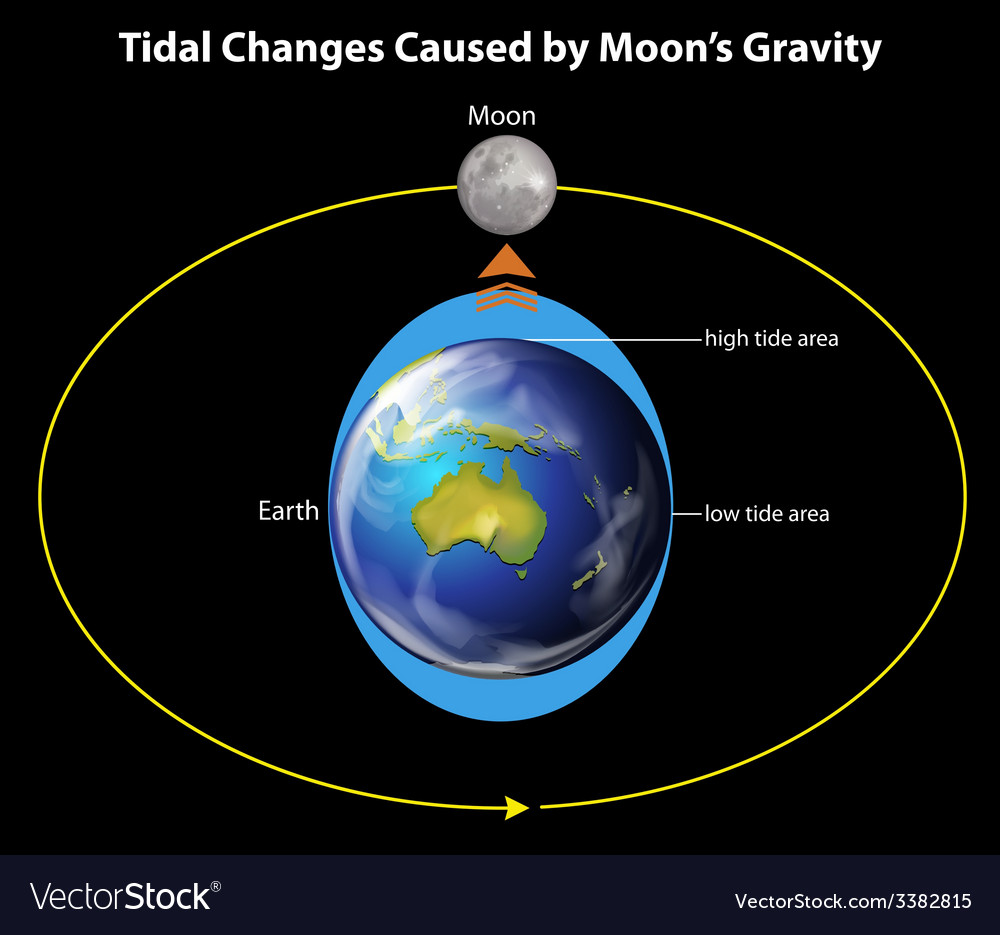 Tidal changes Royalty Free Vector Image - VectorStock