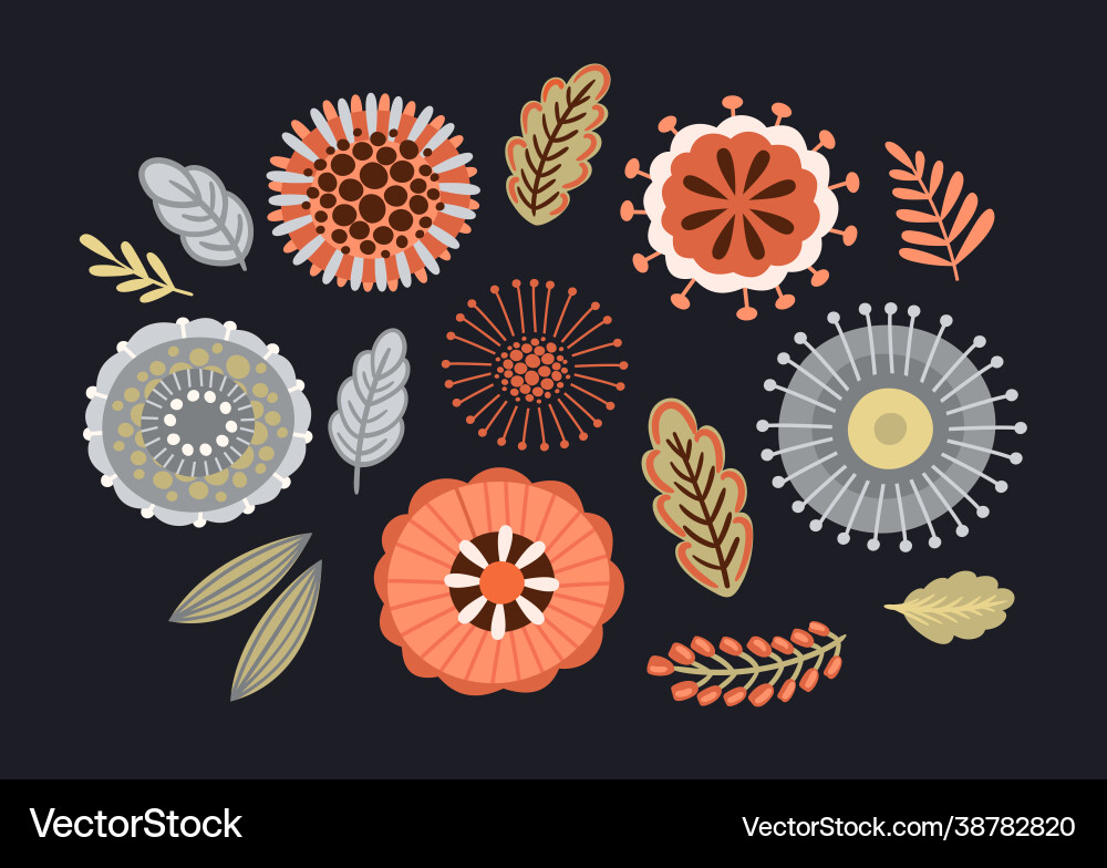 Set floral design elements Royalty Free Vector Image