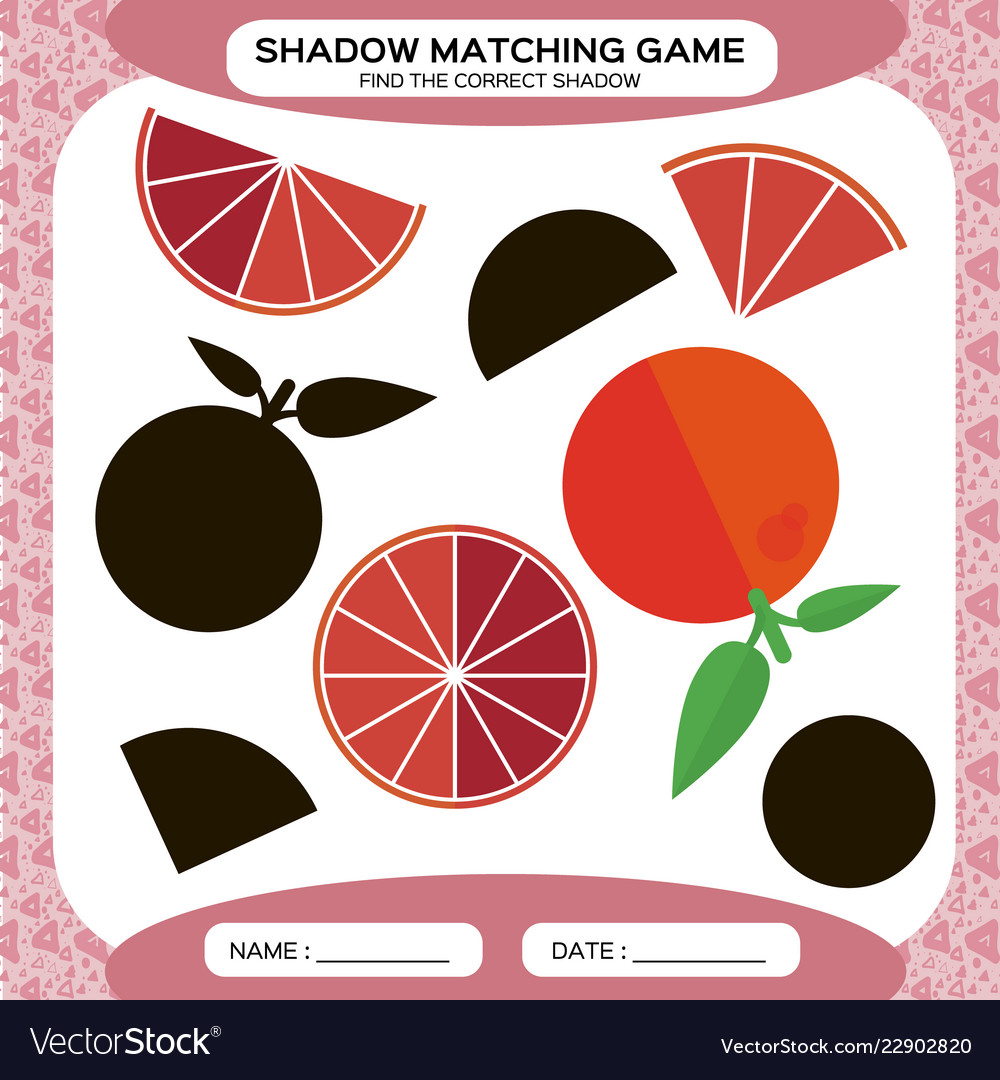 Shadow Matching Game Find The Correct Shadows Vector Image