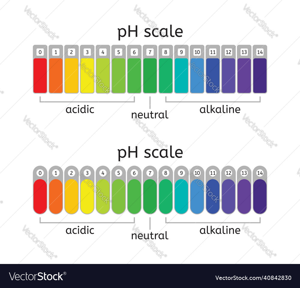 Ph scale Royalty Free Vector Image - VectorStock