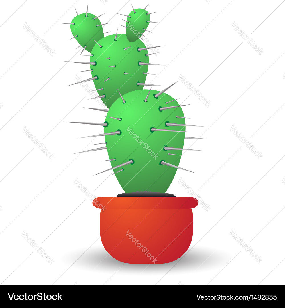 Cactus Royalty Free Vector Image - VectorStock